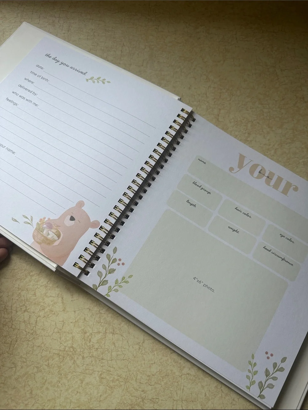 Baby's First Years Woodland Keepsake Baby Book First Five Years - Picture 4 of 11